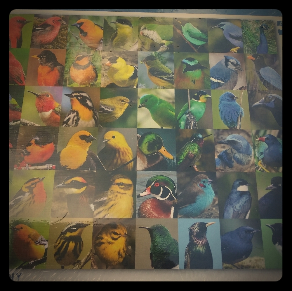 Cornell Lab of Ornithology 1000 pieces Puzzle